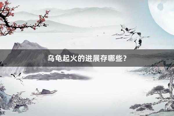 乌龟起火的进展存哪些?